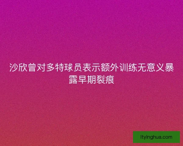 沙欣曾对多特球员表示额外训练无意义暴露早期裂痕